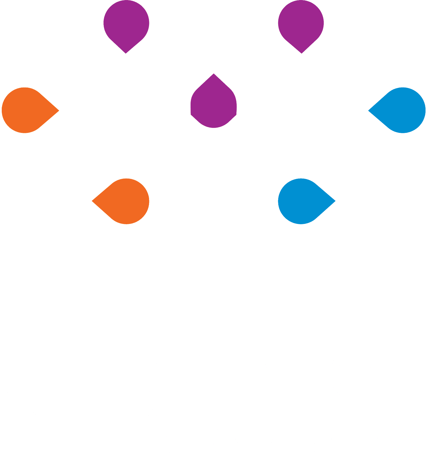 Visit Syracuse LOGO - White - colored joints